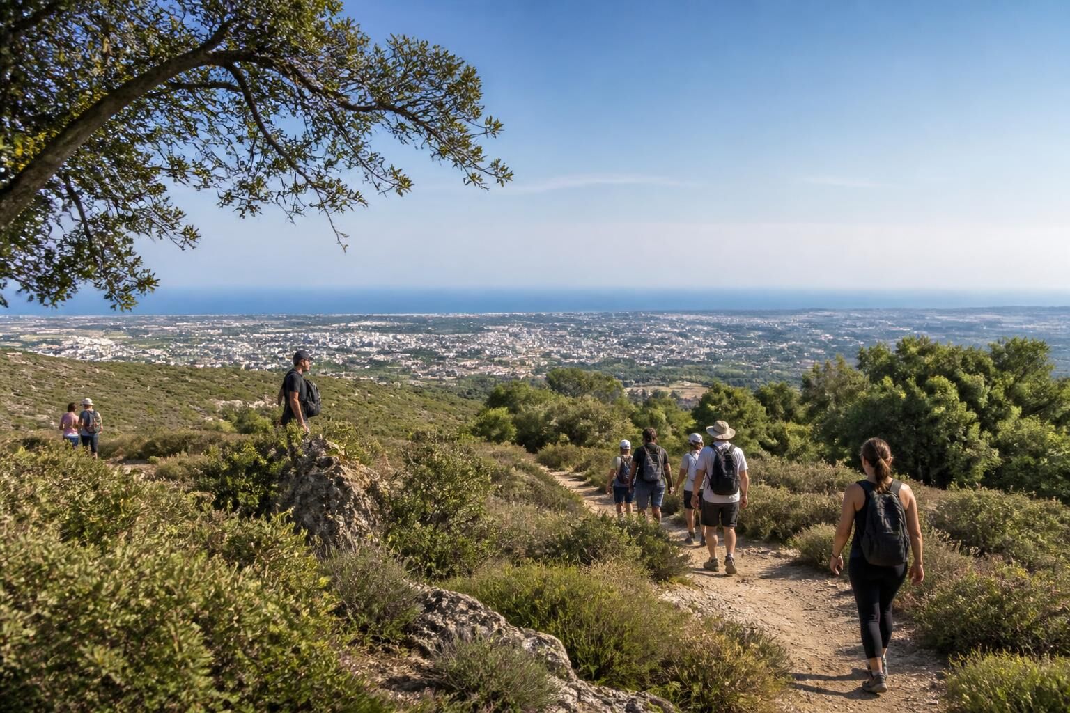 15 randonnées incontournables à Montpellier et ses environs Découvrez 15 randonnées incontournables à Montpellier et ses environs, avec des itinéraires pour tous les niveaux au cœur de la nature méditerranéenne.