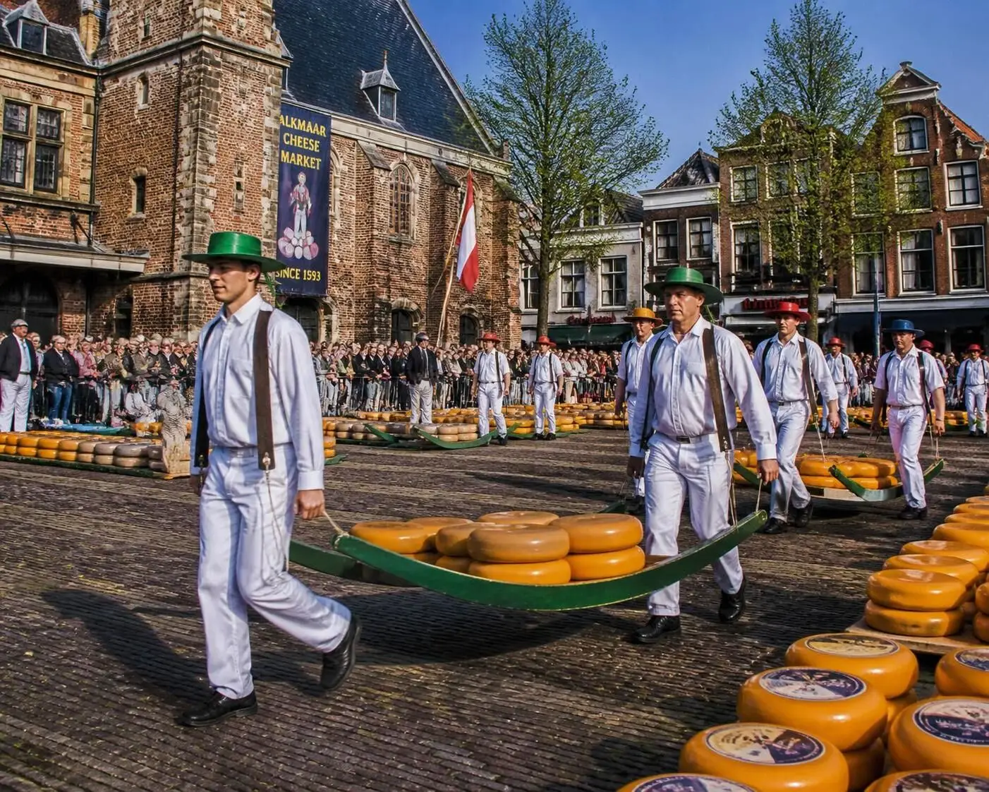 Découvrez le marché aux fromages d'Alkmaar, une tradition unique où se mêlent saveurs authentiques, savoir-faire local et ambiance conviviale.
