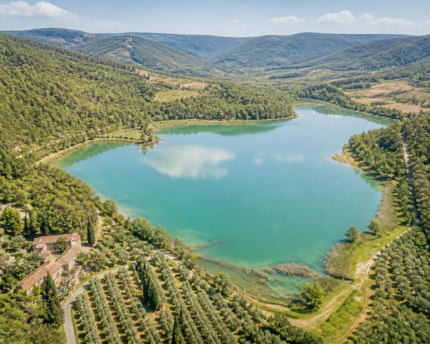 découvrez le lac de carcès dans le var, une randonnée pittoresque au bord du lac naturel de provence, entourée d'oliviers et dégustez les délicieux fromages de chèvre de comps.